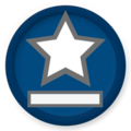Badge-FleetCaptain.png